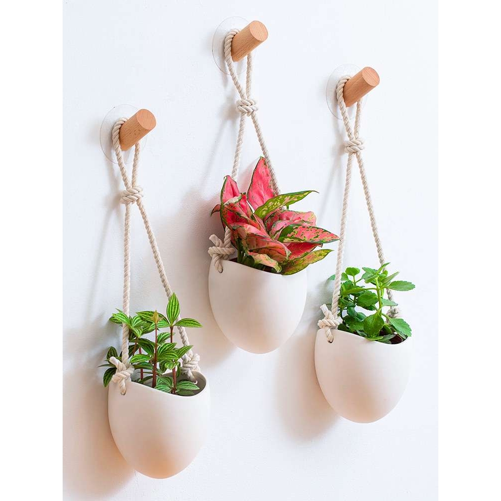 吊篮花盆白色陶瓷墙上壁挂花盆免打孔水培绿植创意装饰吊盆悬挂式