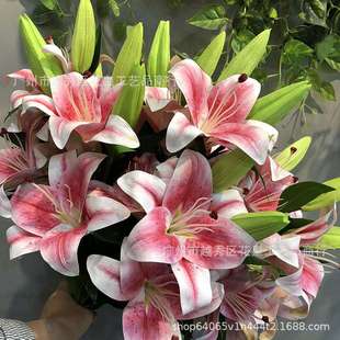 仿真百合 饰仿真花婚庆道具 手感仿真花婚庆用品摄影道具家居装