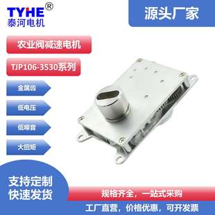 泰河农业灌溉双通阀门电机智能马达3.7V2W低速低功耗直流减速电机