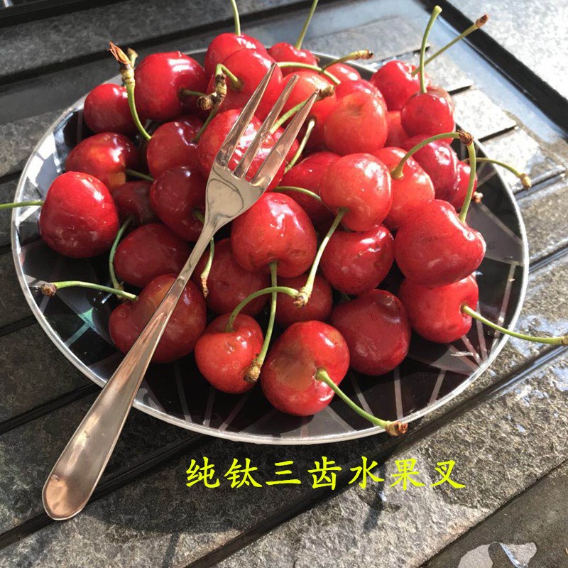 钛餐具纯钛水果签餐叉饭勺子野C餐方便多功能调羹 钛水果叉