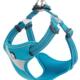 宠物胸背透tr5951气狗反带光狗牵引心狗绳背带中大型犬背式 用品