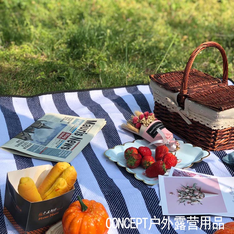ins风野餐垫条纹黑格户外便携露营防潮沙滩爬行地垫子picnic mat