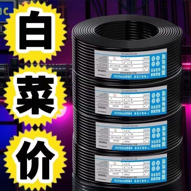 德国品质国标电线双芯电缆线工地阻燃1.5/2.5/4/6平方2芯大功率