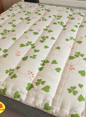 一米五八b被子被芯两米2米乘2.3米大床加厚冬被1.82m2.2x2.4双