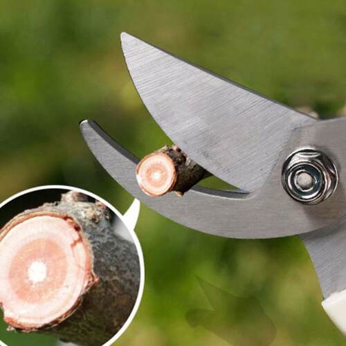 极速Pruner Tree Cutter Gardening Pruning Shear Scissor Stain