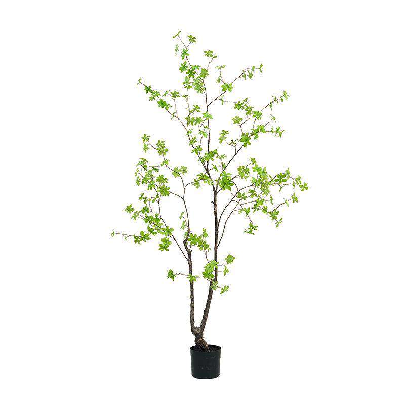 仿真绿植多瓣树多瓣枝家居酒店装饰日本吊钟马醉木盆栽厂家