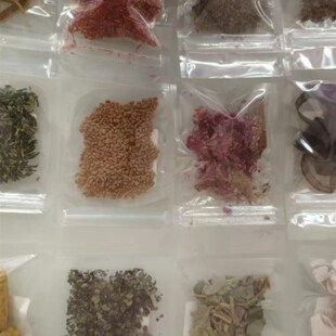 新升级500味中药标本常用执业药师挑选中.药学习展示