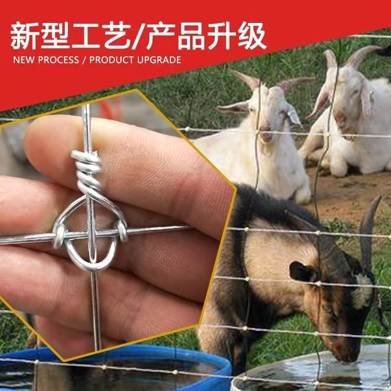 热镀锌防a锈牛栏网果园围栏网养牛马羊围栏网护栏网户外养殖钢丝,农机/农具/农膜,农场护栏网,淘宝优惠券,粉丝福利购,淘宝优惠卷