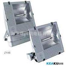 上海亚明Z46-1000W灯具亚明ZY46-N1000T钠灯灯具投光泛光灯具