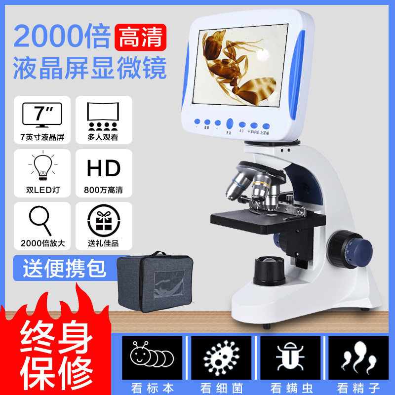 数码显微镜专业光学生物2000倍家用中学生儿童电子数码看螨虫精子图片