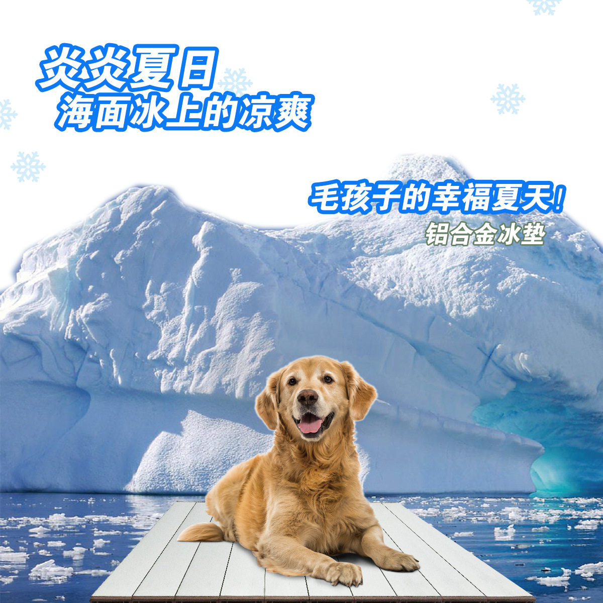 XXL码 宠物凉垫狗狗窝垫夏季狗窝/屋/帐篷/沙发