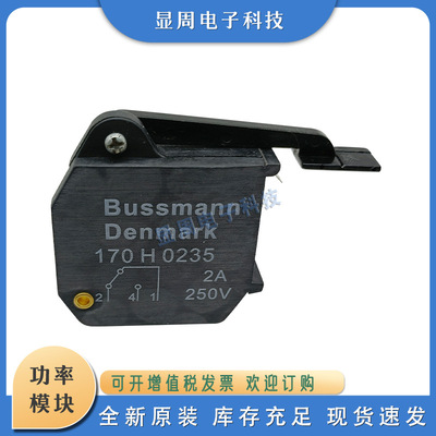 熔断器微动开关170H0069 0235 0236 0237 0238 1007 1013 3003