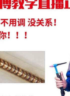 WS-250不锈钢焊冷q焊工业级两用电焊机氩弧焊机家用小型220V