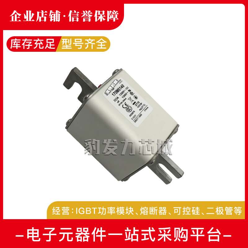 170M5114 170M5115 170M5116 170M5117 170M5118全新熔断器现货