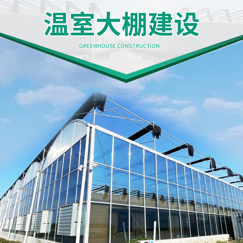 农业育苗大棚骨架蔬菜种植大棚农业观光连栋智能玻璃温室大棚