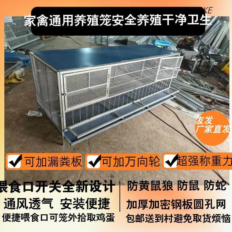 鸡笼子新款鸡笼外伸头喂食可开关伸头口鹅笼鸭笼家禽通用加厚鸡笼