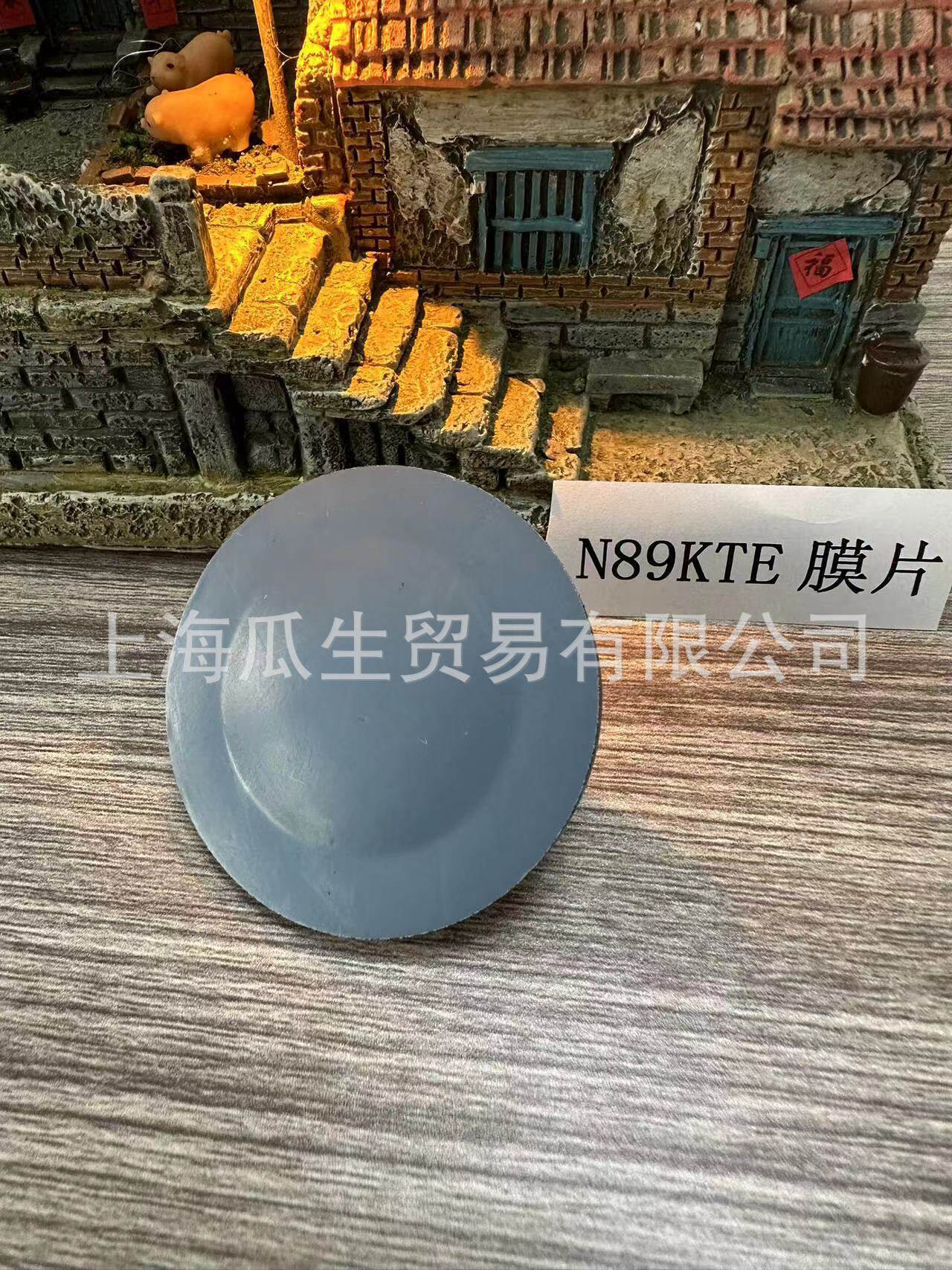 N89KTE德国KNF原装进口防腐膜片量大优惠