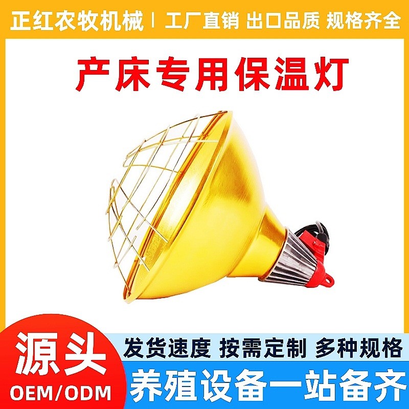 正红养殖畜牧 小猪专用保温灯 料线设备配件加热灯罩