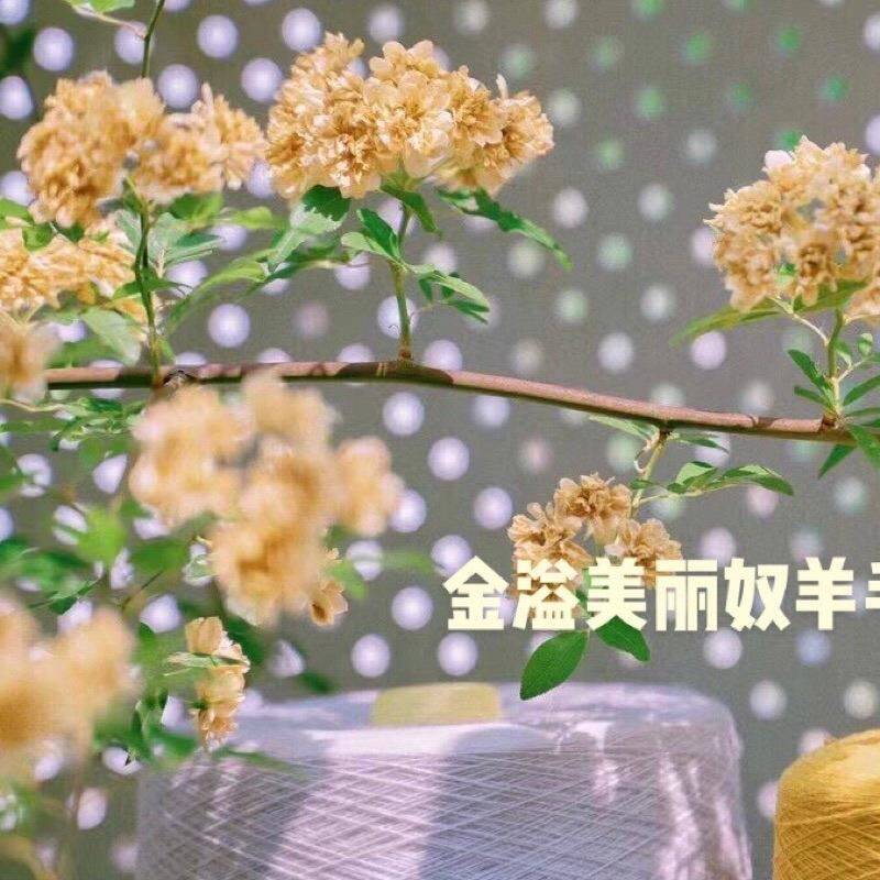 金溢丝光防缩美丽诺羊毛纱 纯羊毛纱 全毛纱澳洲羊毛纱巴素兰
