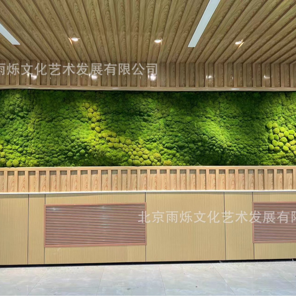 仿真微景观青苔包绿色小苔藓植绒仿真草坪草皮石头沙盘苔藓植物造