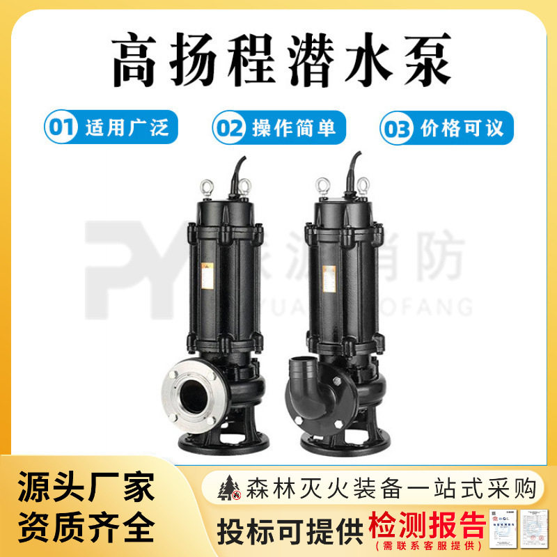 家用潜水泵小型高扬程潜水泵抽水水泵抽水机大口径农用清水泵