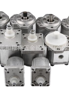 MARZOCCHI马祖奇高压齿轮泵GHP1A-D2/3/4/5/6/7/9/11/13/16/20-FG