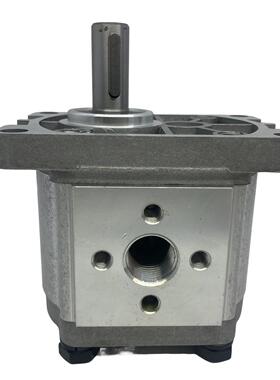 齿轮泵CBN-F304/F306/F308/F310/F312/F314/F316/F318/F320/F325