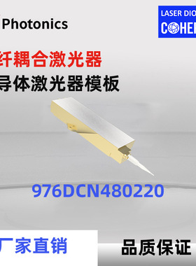 976nm 480W 泵浦源