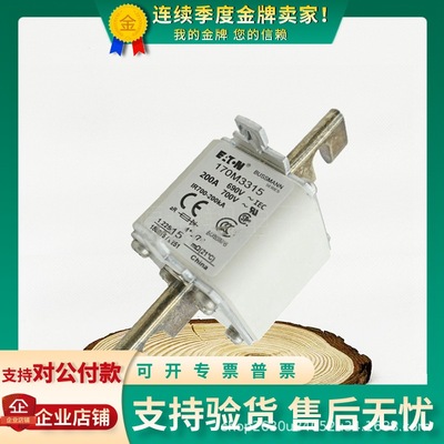 巴斯曼熔断器170M4308/4309/4310/4311/4312/4313/4314/4315/4316