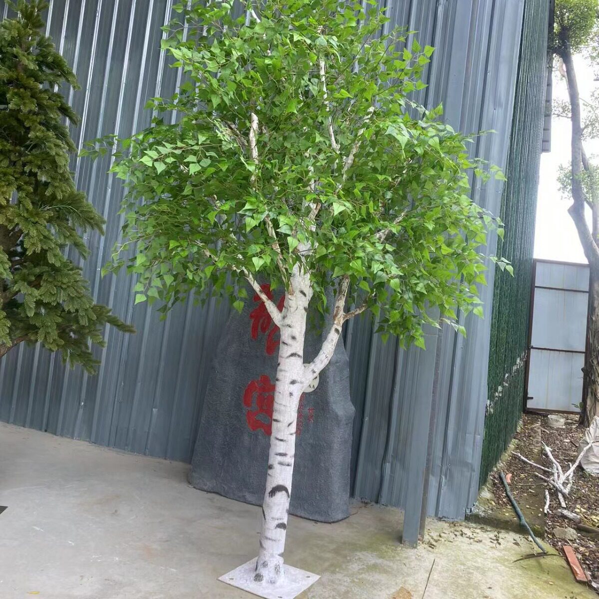 仿真白桦树大型室内装饰树假植物造景婚庆橱窗隔断假树白桦树
