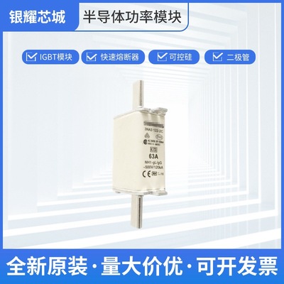 全国发货 端子式熔断器 交流 保险丝3NA3122-2C 批次22+