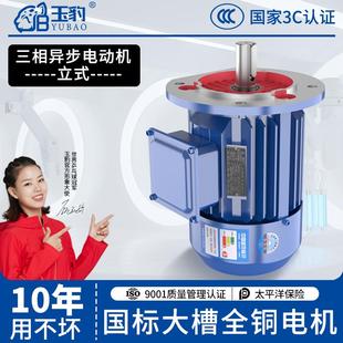 1.5 2.2 立式 5.5 1.1 7.5KW电机380v全铜 三相异步电动机0.75