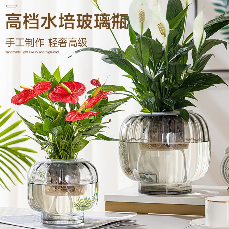 水培花瓶玻璃瓶红掌吊兰绿萝一帆风顺创意水养绿植插花大号花瓶子