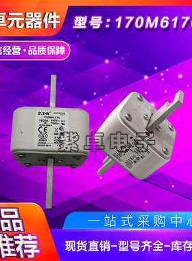 170M6198 170M6199 170M6200 170M6201伊顿巴斯曼 熔断器 保险丝