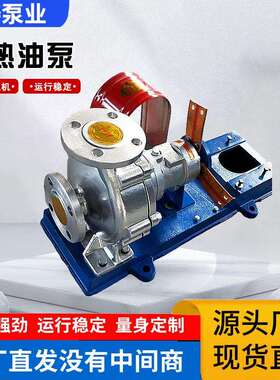高温导热油泵RY风冷式BRY锅炉循环不锈钢专用耐高温油泵