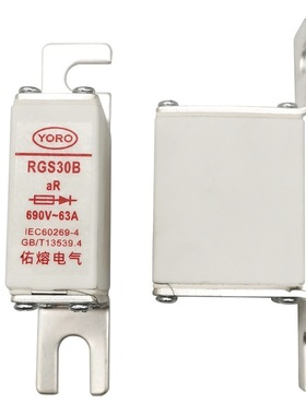 快熔熔断器RGS30B 690V 160A 125A 100A 80A 85A 75A 63A保险丝管