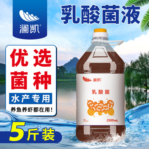 乳酸菌液高浓缩水产养殖用益生菌