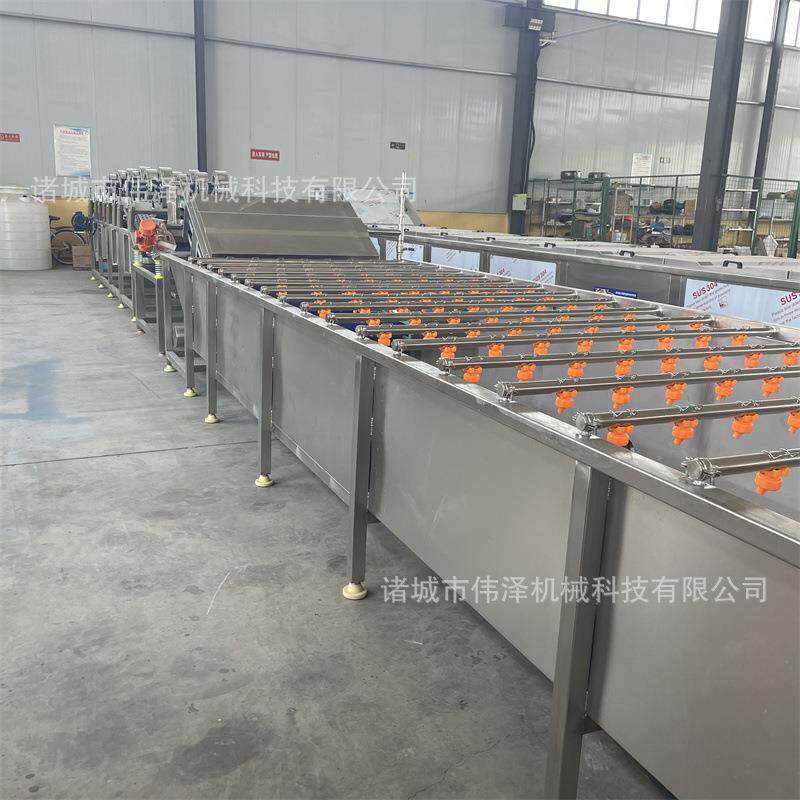 大型水果气泡清洗机果汁加工配套清洗设备梨子苹果樱桃杏子洗果