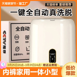 内衣洗衣机脱全自动迷你小型49742内裤 专用洗体洗袜子 一裤 机内裤