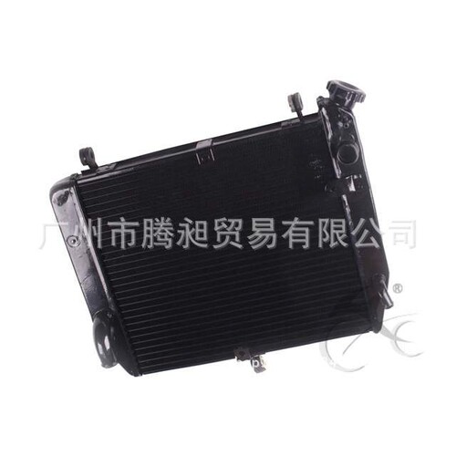 适用YZF1000 R1 02-03年 水箱总成 水冷器 水箱散热器