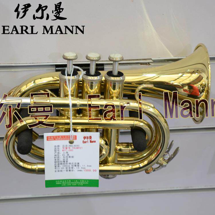伊尔曼EarlMann袖珍小号初学者成人儿童手掌号