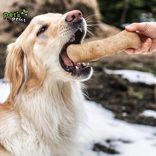 PetsPrint进口咖啡木磨牙棒宠物解闷抱着耐咬除臭防拆家天然0添加