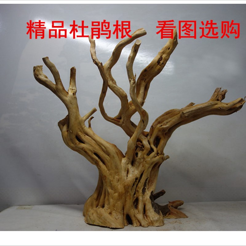 L 水草 水族 沉木   爬宠箱青龙石  鱼缸造景杜鹃根 水草胶