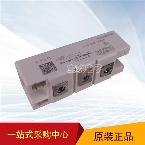 西门康可控硅SKKH162/16E SKKT200/18E /172/132/122 /14E/12E