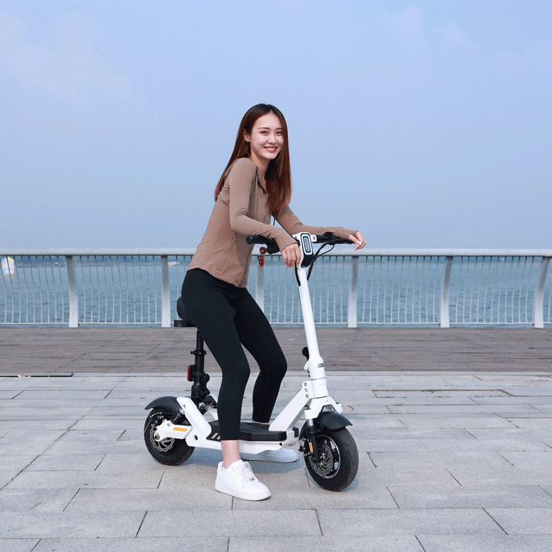 新国标电动滑板车坐骑折叠电动自行车小型迷你便携镁合金电瓶车女
