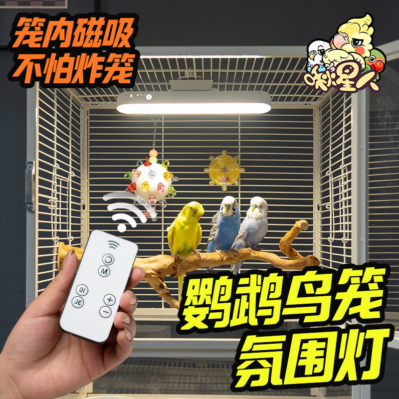 鸟笼夜间照明灯悬挂夜灯玄凤和尚虎皮鹦鹉笼专用防炸笼舒适氛围灯,宠物/宠物食品及用品,鸟禽其他,淘宝优惠券,粉丝福利购,淘宝优惠卷