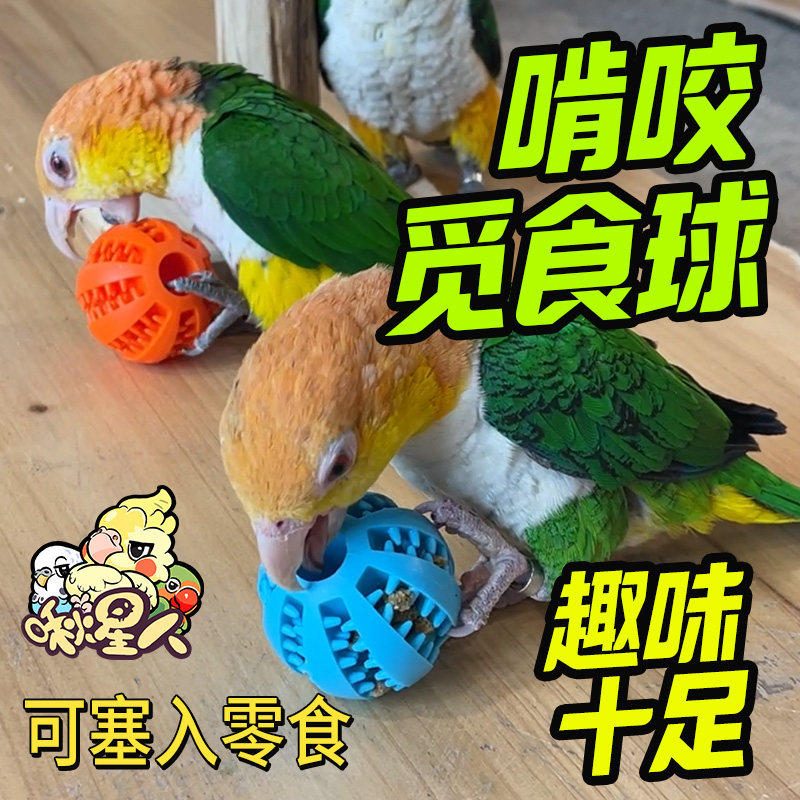 鹦鹉觅食球啃咬解闷小球玩具和尚小太阳玄凤益智玩耍防抑郁鸟用品,宠物/宠物食品及用品,鸟玩具,淘宝优惠券,粉丝福利购,淘宝优惠卷