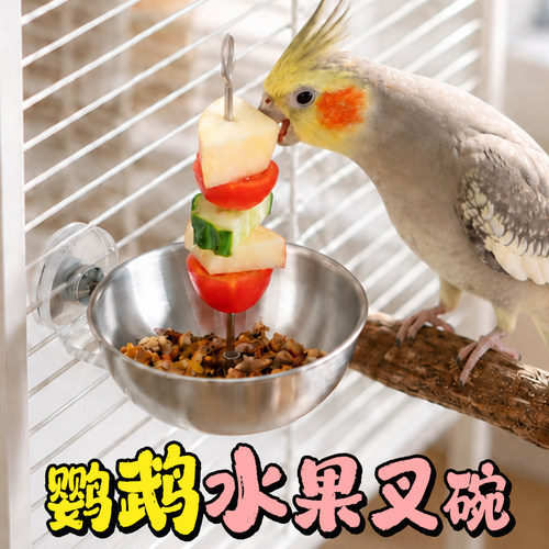 不锈钢水果蔬菜喂食碗防叼鸟食盒