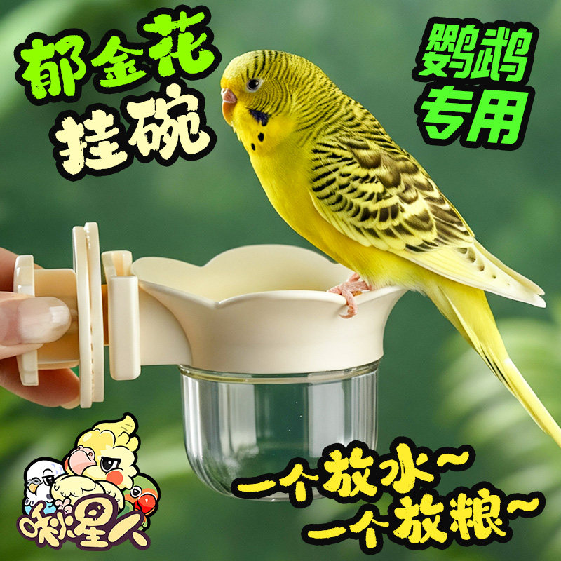 啾星人郁金香挂碗喂鸟空中食盒图片