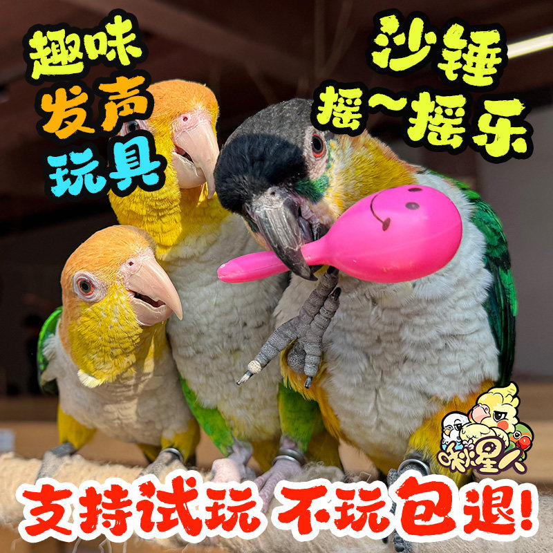 鹦鹉玩具小沙锤摇铃小太阳和尚虎皮鹦鹉啃咬解闷自嗨益智解压训练,宠物/宠物食品及用品,鸟玩具,淘宝优惠券,粉丝福利购,淘宝优惠卷